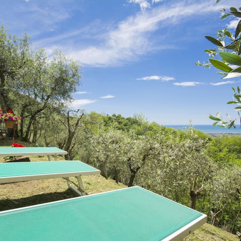 Admire the view from your hilltop perch