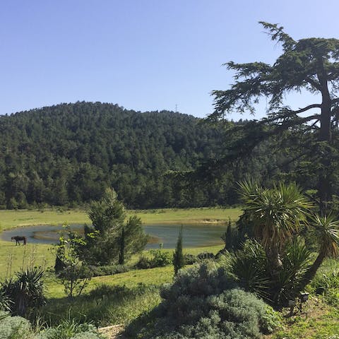 Admire the abundance of flora, fauna and wildlife in a designated protected conservation zone