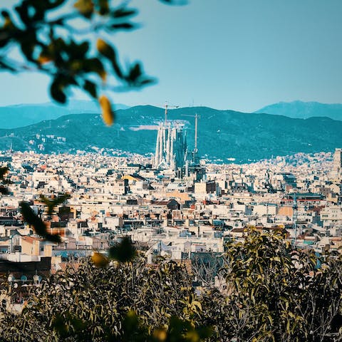 Explore the city from your door – your home is close to the Sants neighbourhood