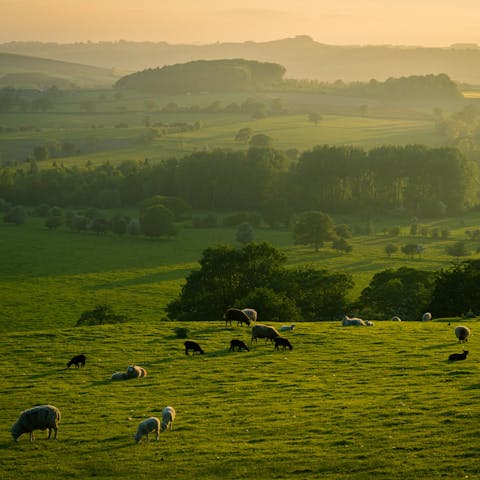 Stay on a working farm in Oxfordshire