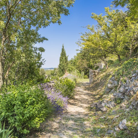 Take a stroll through the hidden paths around the house