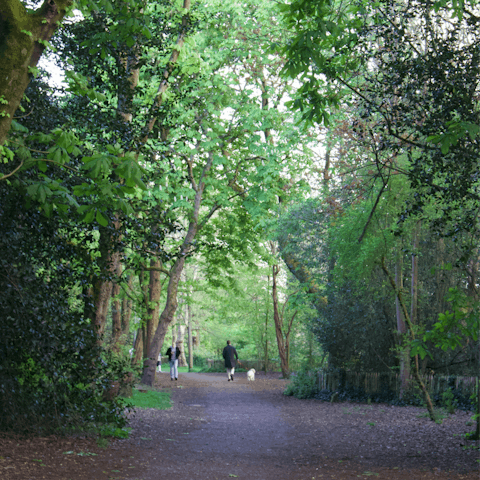 Continue on into the greenery of Holland Park, with its beautiful Kyoto Garden