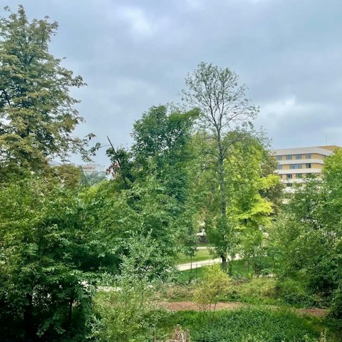 Enjoy the view of Sainte Périne park