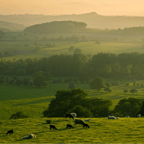 Stay in the heart of the Northumberland countryside, only a thirty-minute drive from Newcastle