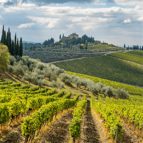 Immerse yourself in the natural beauty of the Chianti region of Tuscany