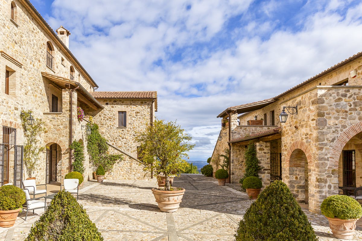 The Landscape Artist