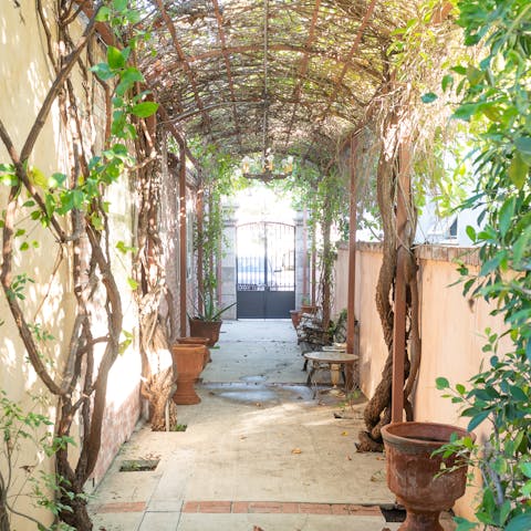 Wander under the covered walkway