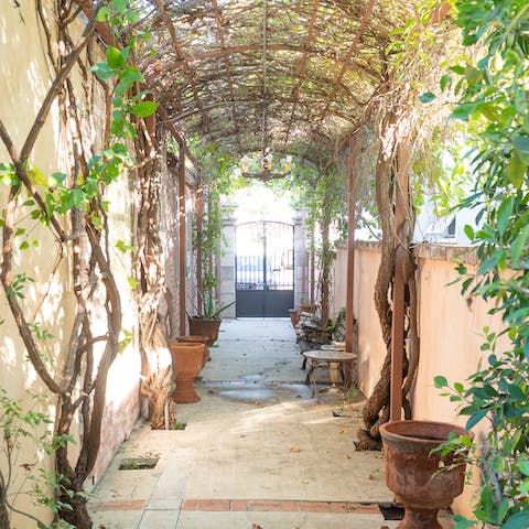 Wander under the covered walkway