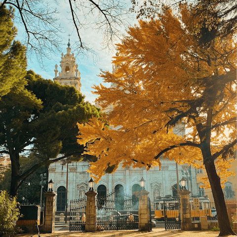 Enjoy the green spaces around Lapa – Estrela is just a short walk away