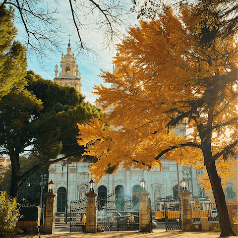 Enjoy the green spaces around Lapa – Estrela is just a short walk away
