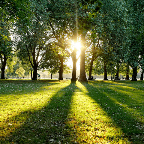 Feel refreshed and inspired while walking through Hyde Park