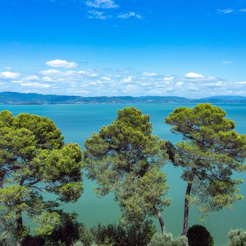 Make the hour's drive up to Lake Trasimeno for bankside wanders and watersport activities