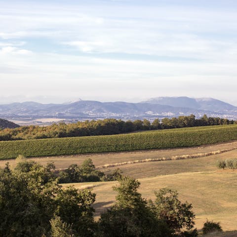 Connect with the green heart of Italy from this stunning home in the Tiber valley