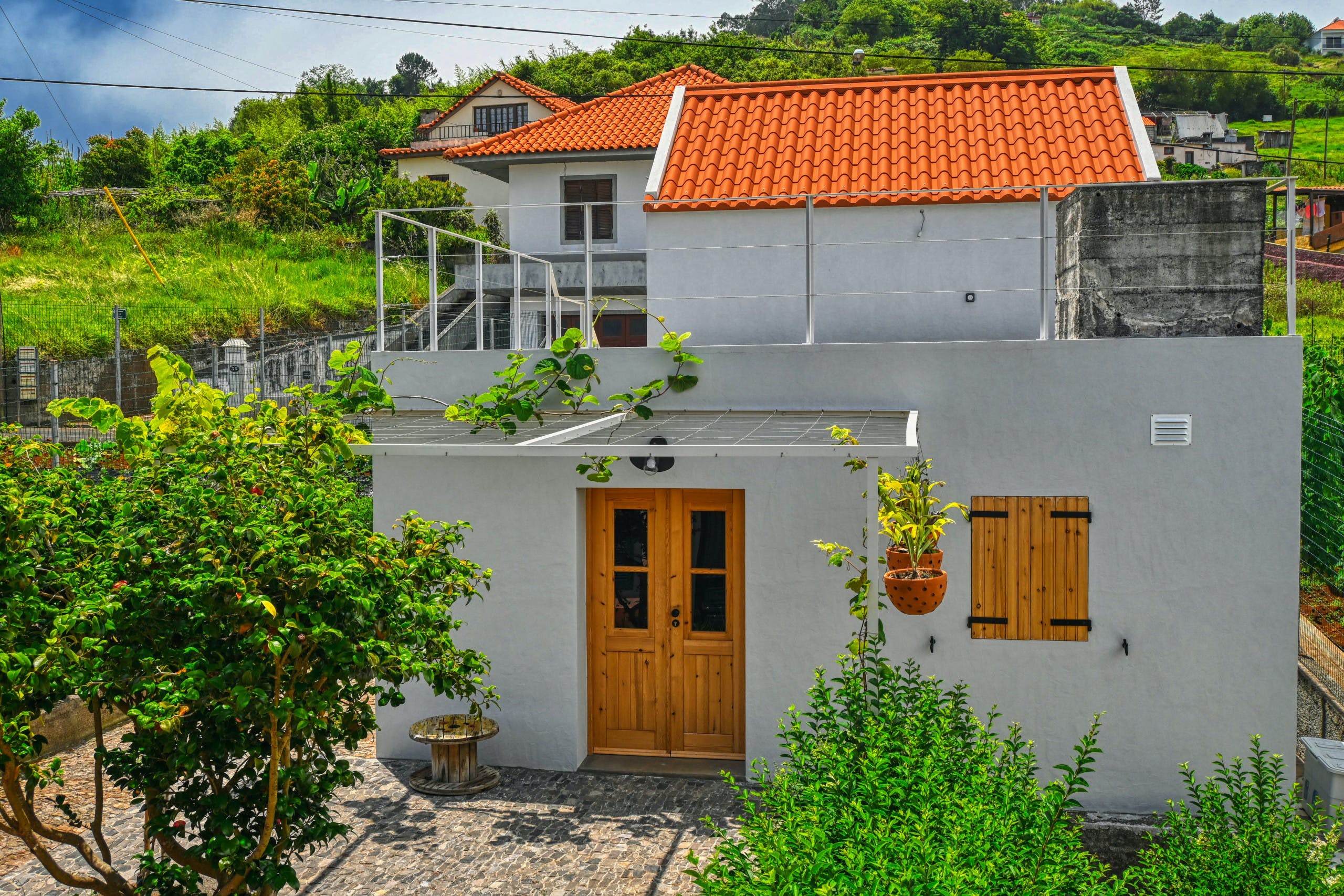 Grape Escape, Madeira, Portugal