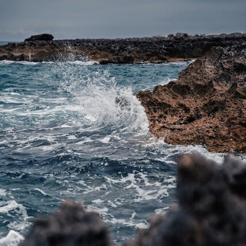 Take a short drive to the coast in Carovigno