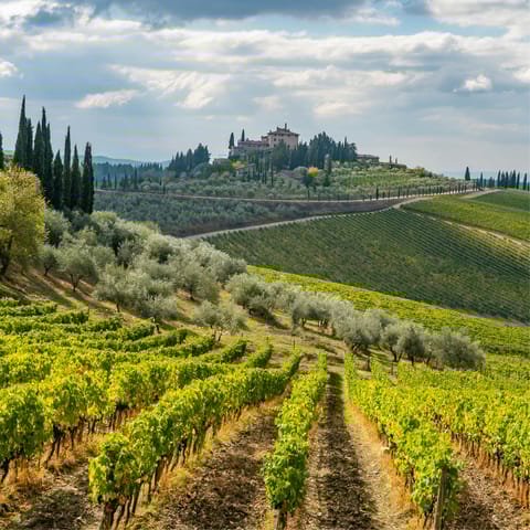 Explore Chianti's rolling vineyards and historic hamlets