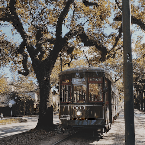 Explore New Orleans from a well-connected location in Mid-City