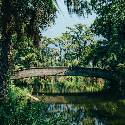 Take a picnic to City Park, twenty minutes away by public transport