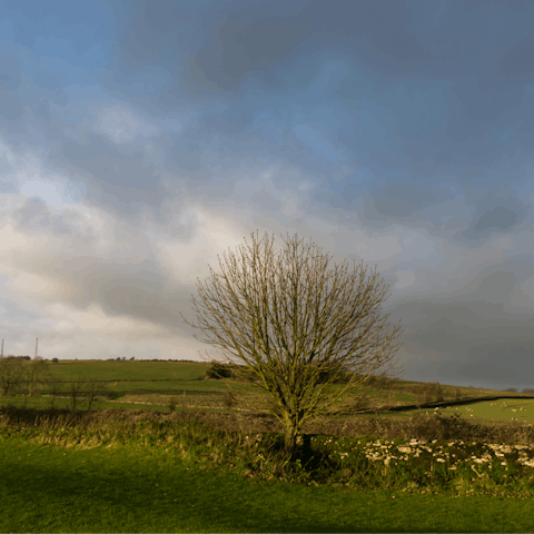 Clear the cobwebs with a ramble through Mendip Hills, a short drive away
