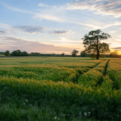 Explore Oxfordshire right on your doorstep, a thirty-five-minute drive will get you to the heart of Oxford