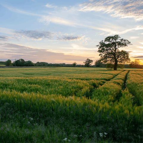 Explore Oxfordshire right on your doorstep, a thirty-five-minute drive will get you to the heart of Oxford