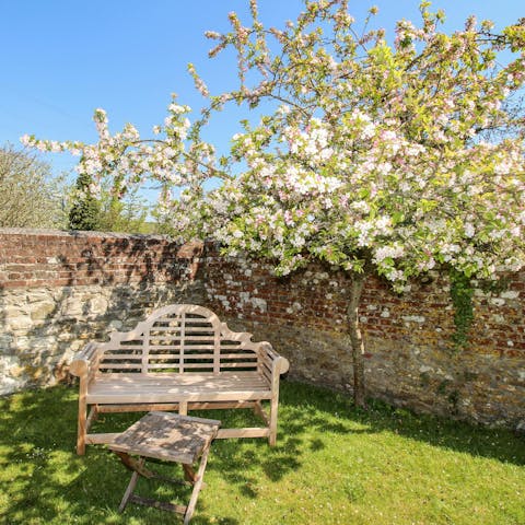 Read a book in the shade of the fruit tree