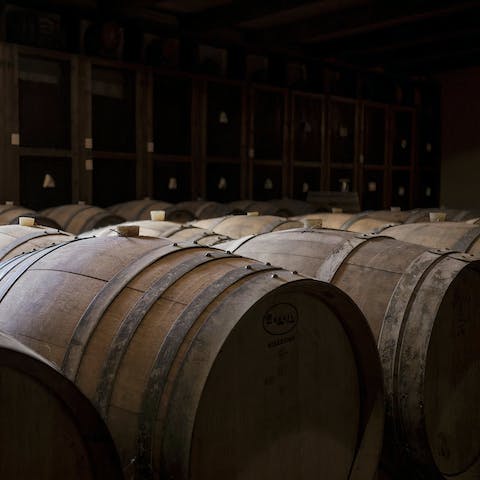 Learn more about winemaking in the resort's on-site cantina