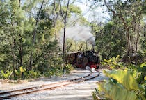 Explore St. Nicholas Abbey and Steam Railway