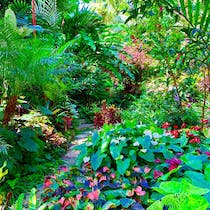 Explore Hunte's Gardens