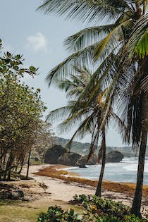 Explore the Charms of Bathsheba