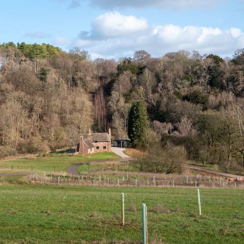Embrace a rural retreat in the Forest of Dean