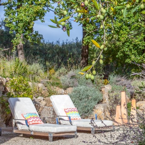 There are lots of secret corners to soak up some sun