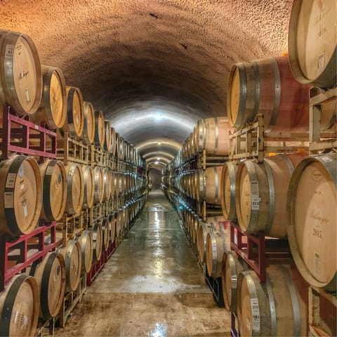 Visit Napa's famous wineries and sample their robust reds – the thirteenth-century medieval-style Tuscan castle winery, Castello di Amorosa is five miles away