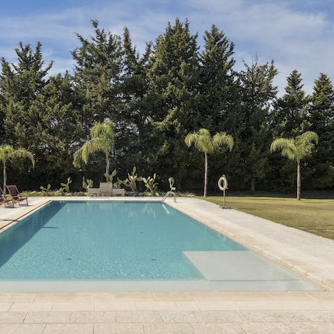 Take a dip in the irresistible waters of the chic swimming pool