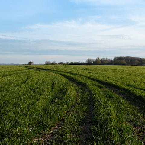 Explore the surrounding Area of Outstanding Natural Beauty in the North Downs