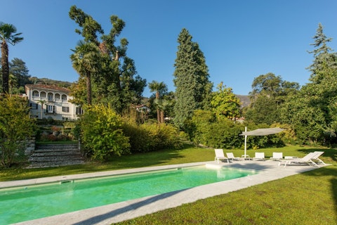 Swim laps beneath palm trees in the landscaped garden