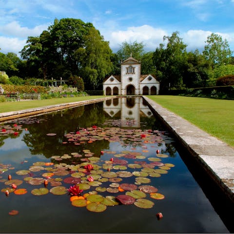 Follow beautiful walking trails through the grounds