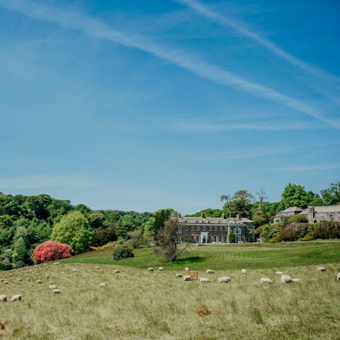 Explore the estate's acres of parkland, gardens, and lakes