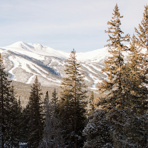 Hit the slopes, you're just steps from The Snowflake Lift