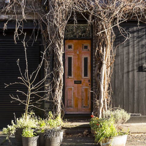 The Whimsical Entrance