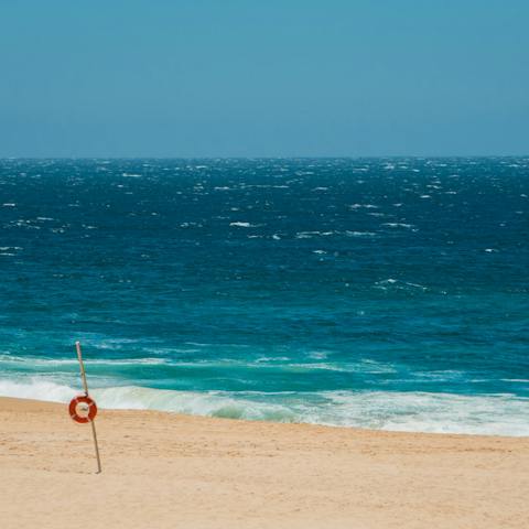 Enjoy the golden coastline of San José del Cabo