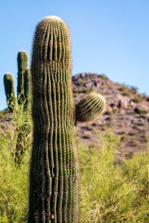 Explore the Gateway Trailhead