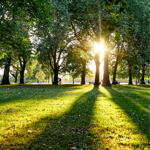 Grab a takeaway coffee and stroll through Hyde Park