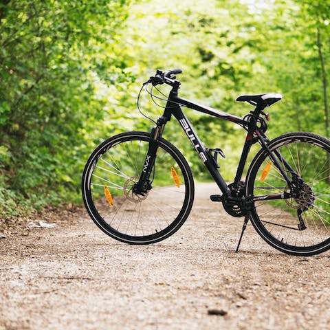 Drive fifteen minutes to the mountain biking centre of Coed y Brenin