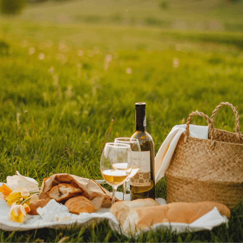 Pick apples in the orchard and bring out some lunch to enjoy on the grass