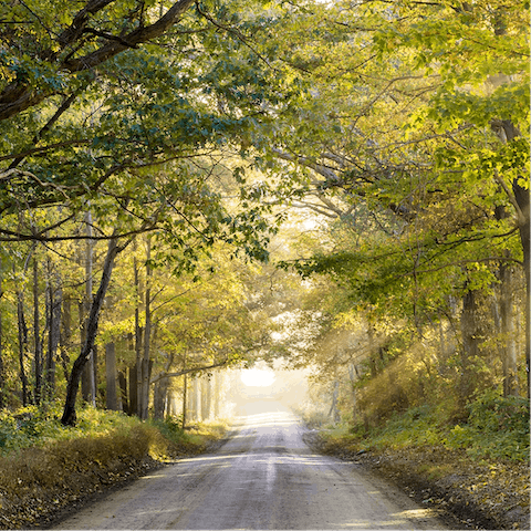 Bring your walking boots and explore the Kent countryside