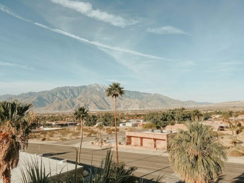 Discover Palm Springs' vibrant downtown dining, art, and boutique scene