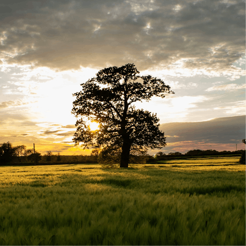 Put on your hiking boots and explore the Oxfordshire countryside