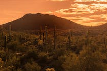 Explore the Spectacular Views at Phoenix Mountain Preserve - 40th St. Trailhead