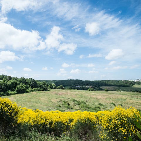 Explore the surrounding fields and vineyards before visit Trequanda, a ten-minute drive away